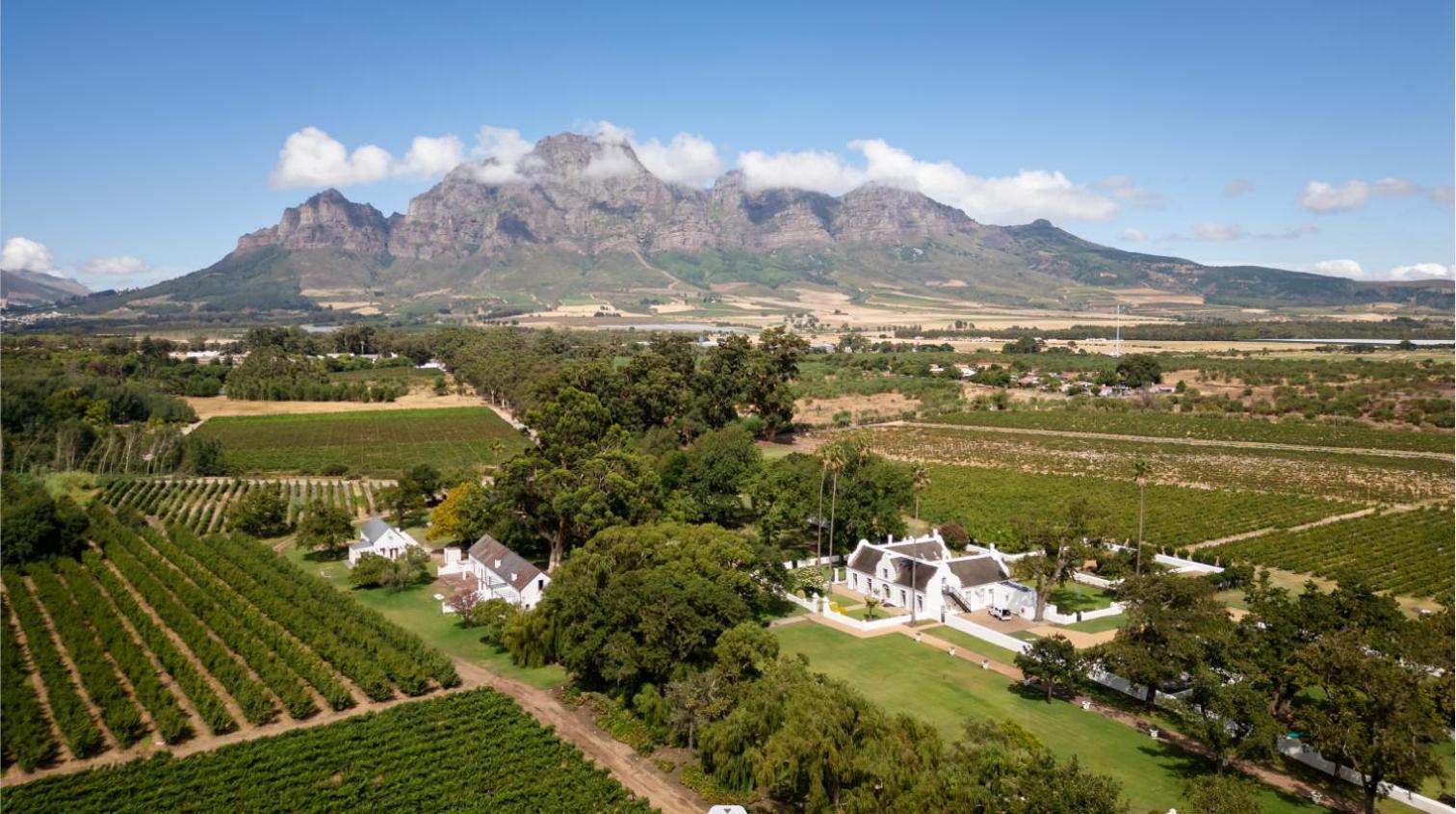 Allee Bleue Wine Estate Simondium Eksteriør billede